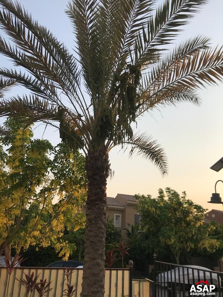 Stand Alone for Rent in Mivida Emaar