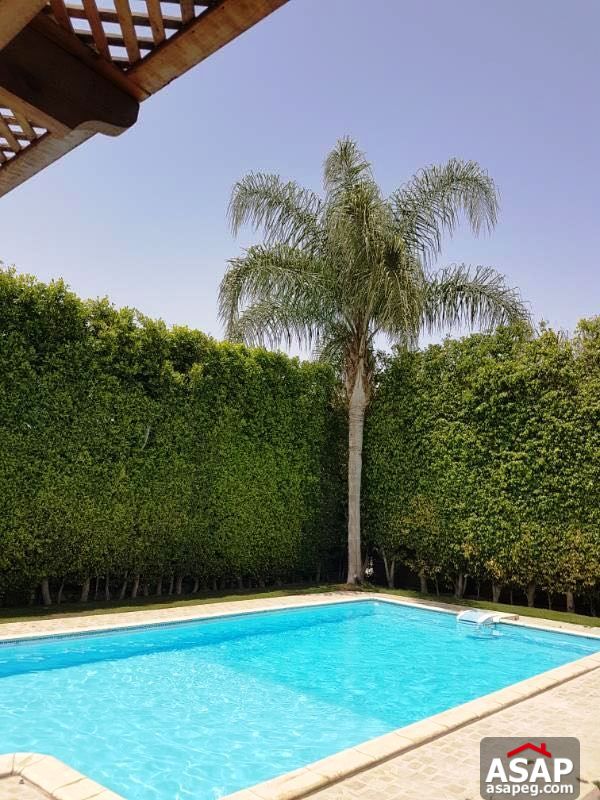 Villa for Rent in Katameya Heights Villa for Rent in Katameya Heights