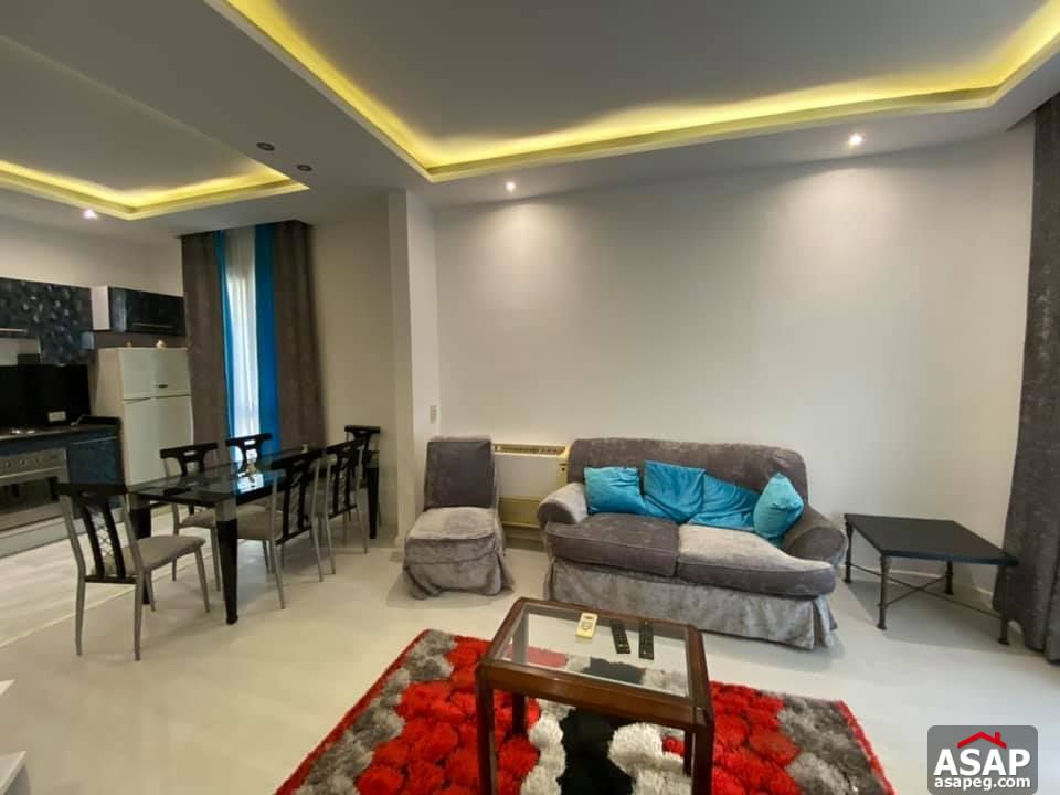 Apartment for Rent in Zamalek Apartment for Rent in Zamalek