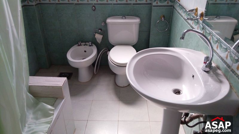 Apartment for rent in zamalek Apartment for rent in zamalek