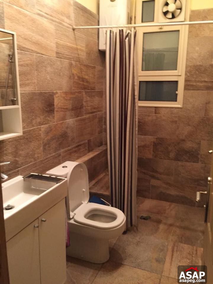 Apartment for rent in zamalek Apartment for rent in zamalek