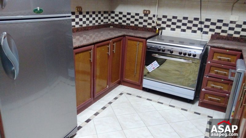 Apartment with Terrace for Rent in Zamalek