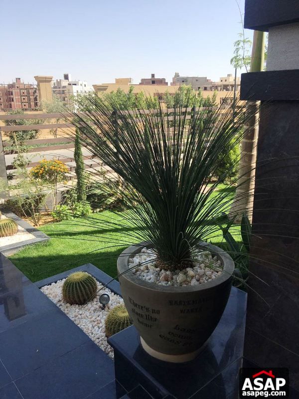 Apartment with Golf View in Katameya Dunes for Rent Apartment with Golf View in Katameya Dunes for Rent