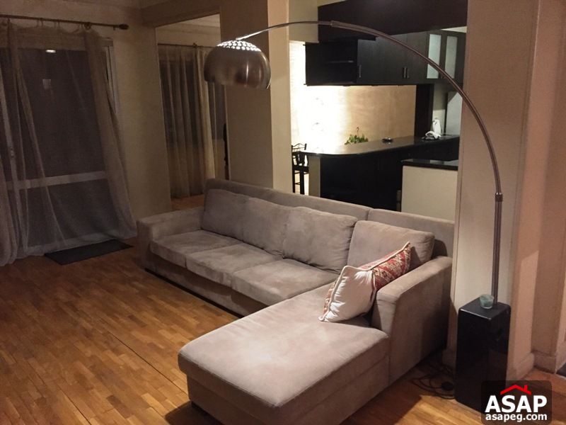 Apartment for rent in zamalek