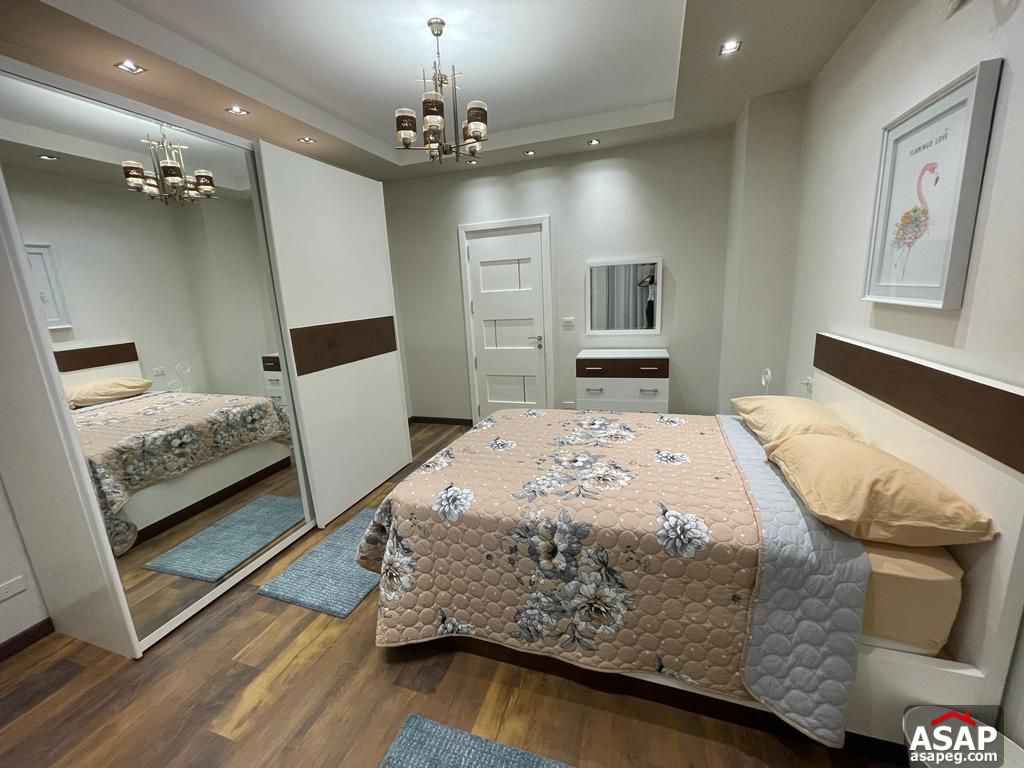 Furnished Apartment for Rent in Villette Sodic