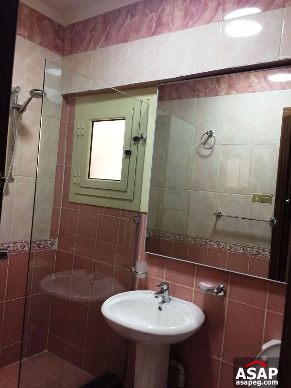 Apartment for rent in zamalek