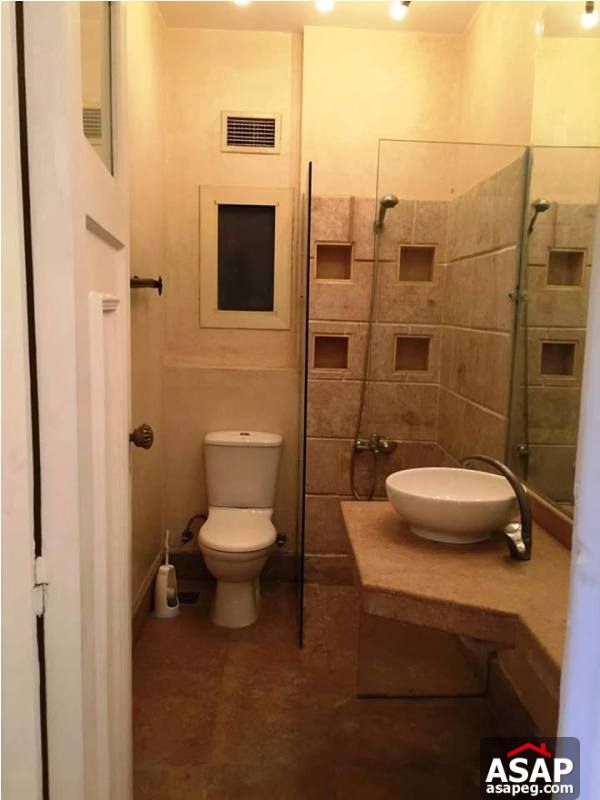 Apartment with Nile View for Sale in Zamalek Apartment with Nile View for Sale in Zamalek