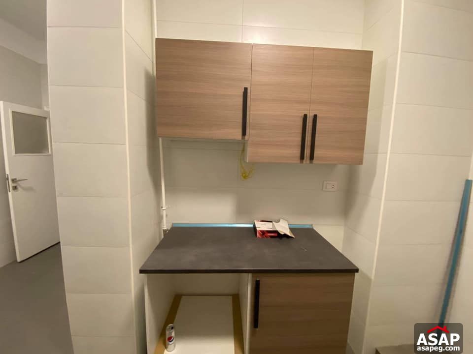 Apartment for Rent in Zamalek Apartment for Rent in Zamalek