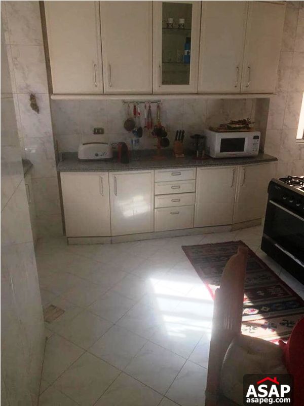Apartment in Zamalek for Rent Apartment in Zamalek for Rent