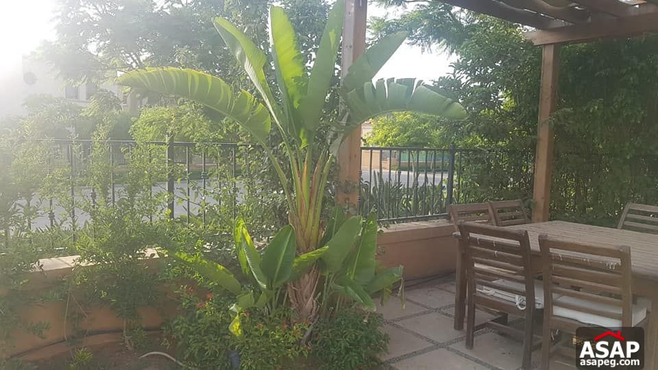 For Rent Villa in Mivida Emaar For Rent Villa in Mivida Emaar