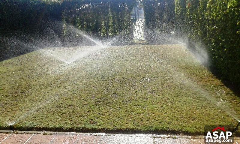 Twin House for Rent in Rabwa - Sheikh Zayed Twin House for Rent in Rabwa - Sheikh Zayed