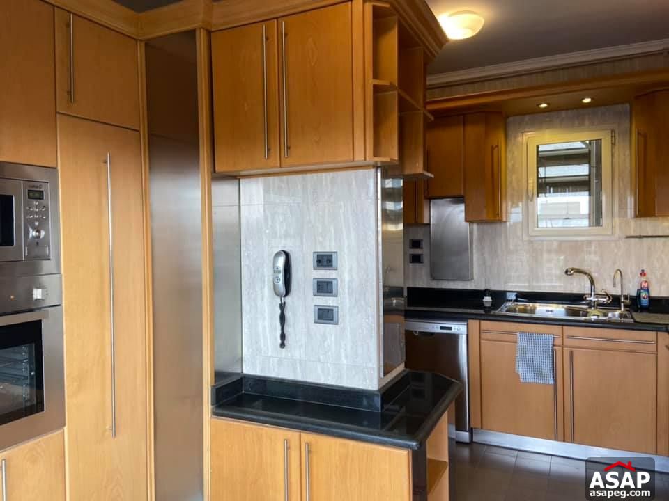 Apartment for Rent in Zamalek Apartment for Rent in Zamalek