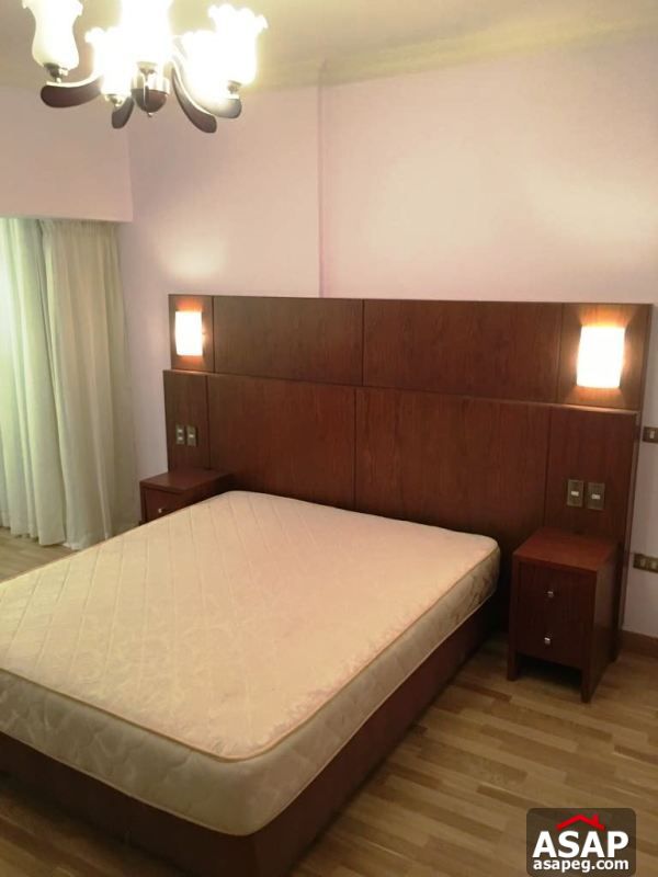 Furnished Apartment with Nile View in Dokki