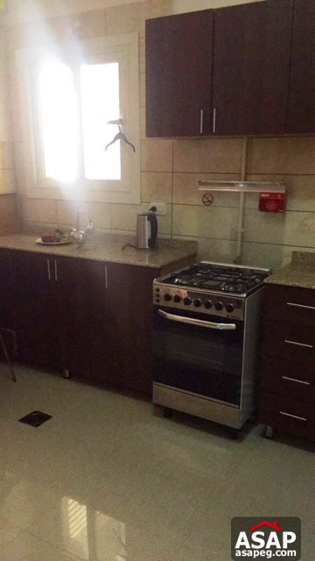 Furnished Penthouse for Rent in the Village Furnished Penthouse for Rent in the Village