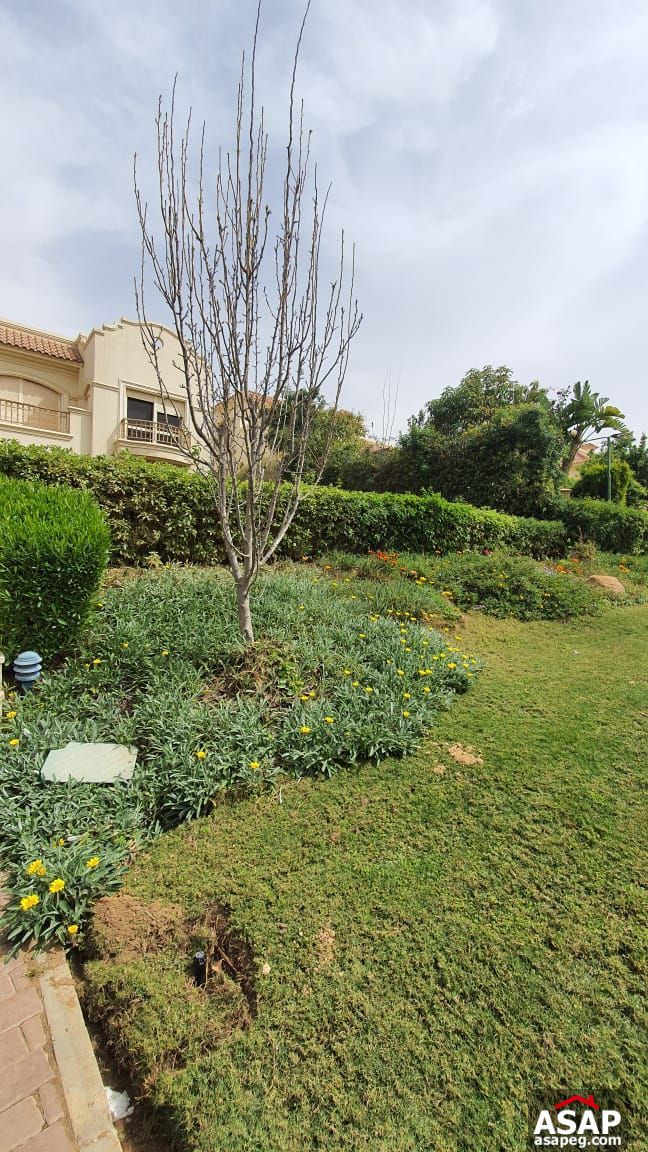 Stand Alone with Lake View for Rent in El Patio Compound Stand Alone with Lake View for Rent in El Patio Compound