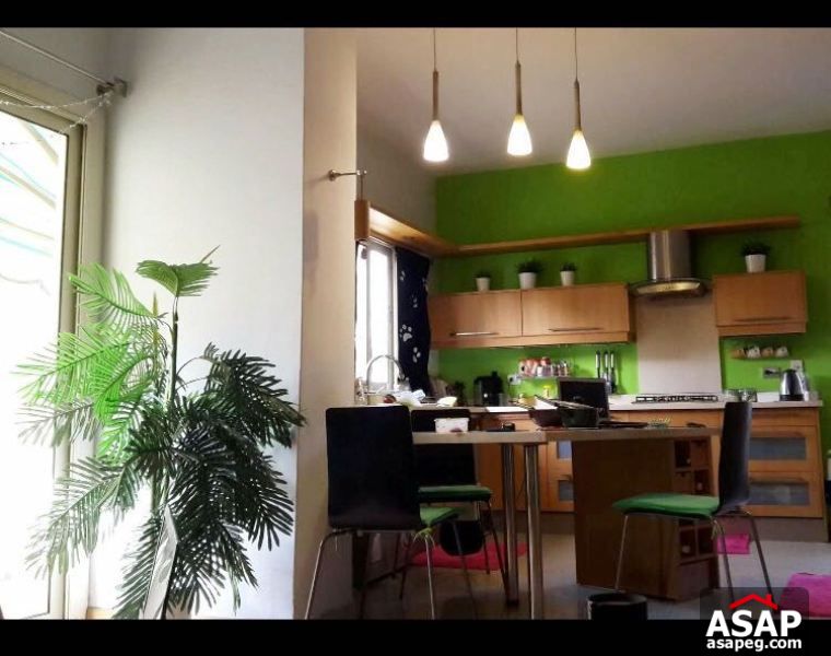 Modern Fully Furnished Apartment in Agouza Modern Fully Furnished Apartment in Agouza