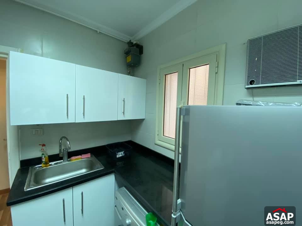 Apartment for Rent in Zamalek Apartment for Rent in Zamalek