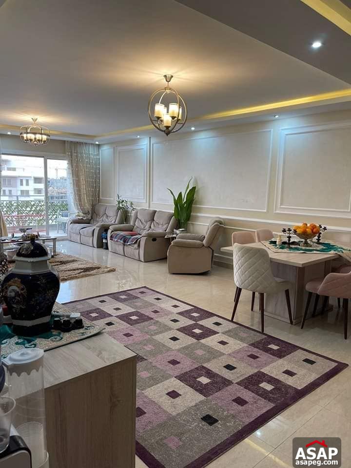 Furnished Apartment for Rent in Hyde Park Furnished Apartment for Rent in Hyde Park