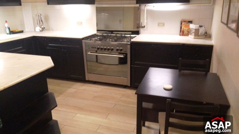 Apartment for rent in zamalek