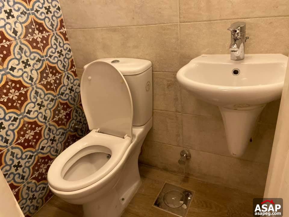 Apartment for Rent in Zamalek Apartment for Rent in Zamalek