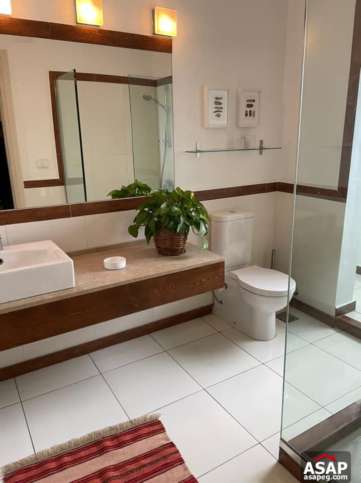 Amazing Apartment for Rent in Zamalek Amazing Apartment for Rent in Zamalek