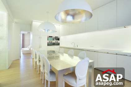 Nica Flat for Rent in Zamalek Nica Flat for Rent in Zamalek