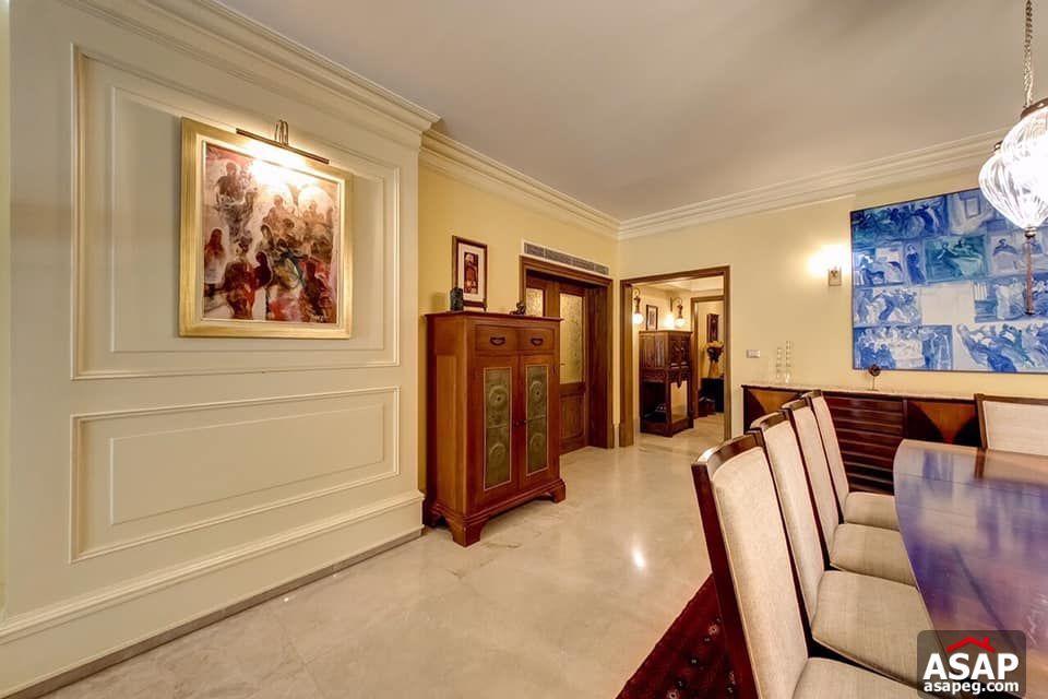 Apartment for Rent in Zamalek Apartment for Rent in Zamalek