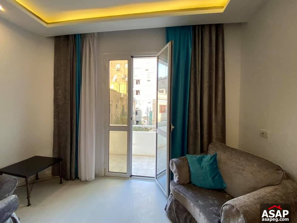 Apartment for Rent in Zamalek Apartment for Rent in Zamalek