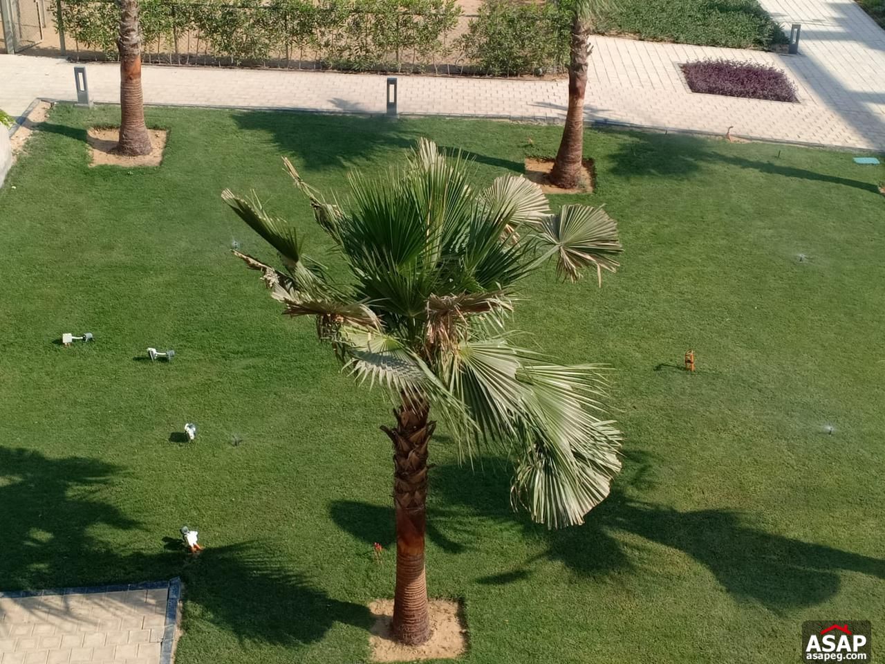 Furnished Apartment for Rent in Fifth Square Furnished Apartment for Rent in Fifth Square