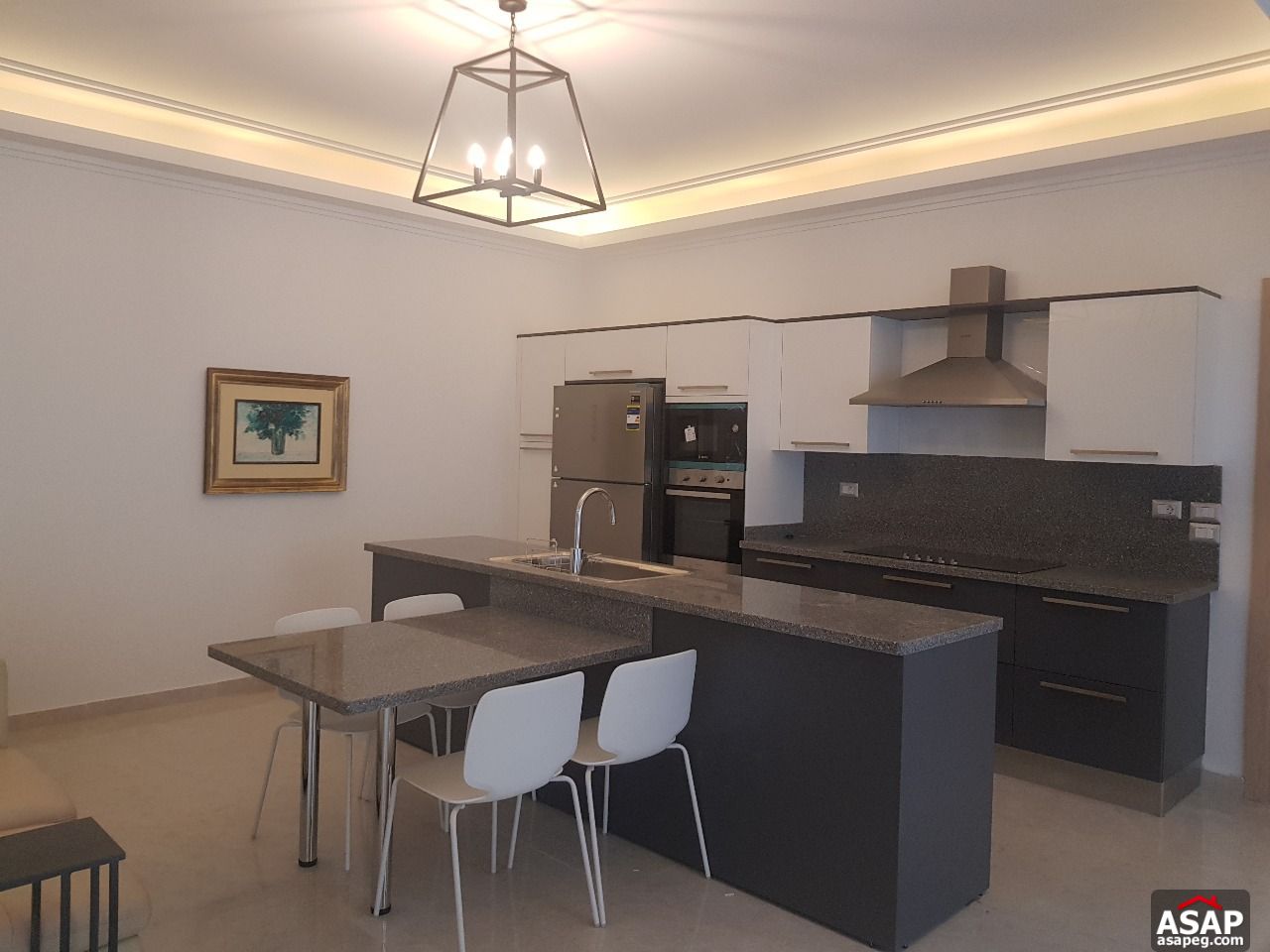 Furnished Basement for Rent in Lake View Furnished Basement for Rent in Lake View