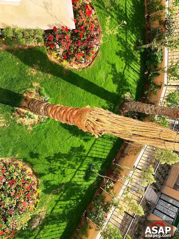 Stand Alone with Garden for Rent in Mivida Stand Alone with Garden for Rent in Mivida