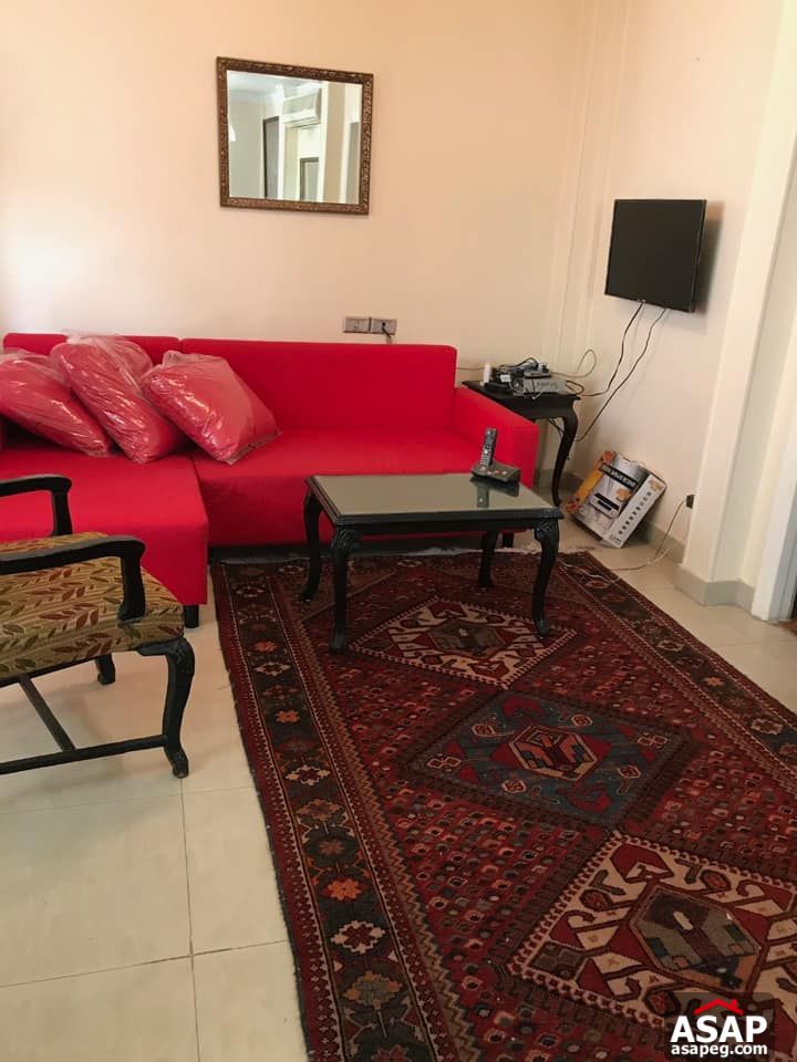 Apartment for Rent in Zamalek Apartment for Rent in Zamalek