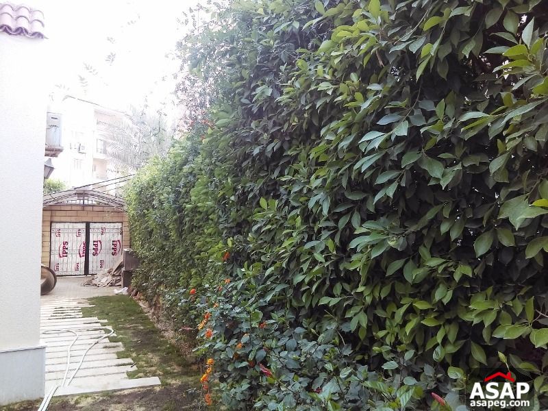 Town House for Rent in Sheikh Zayed Town House for Rent in Sheikh Zayed