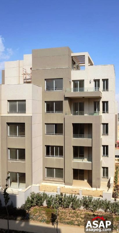 Apartment for rent in new cairo Apartment for rent in new cairo