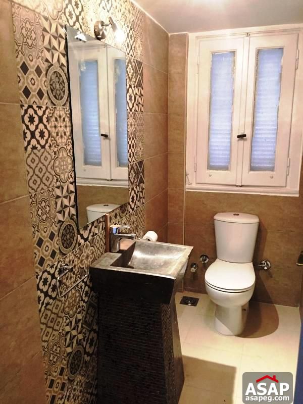 Apartment for Rent in Zamalek Apartment for Rent in Zamalek