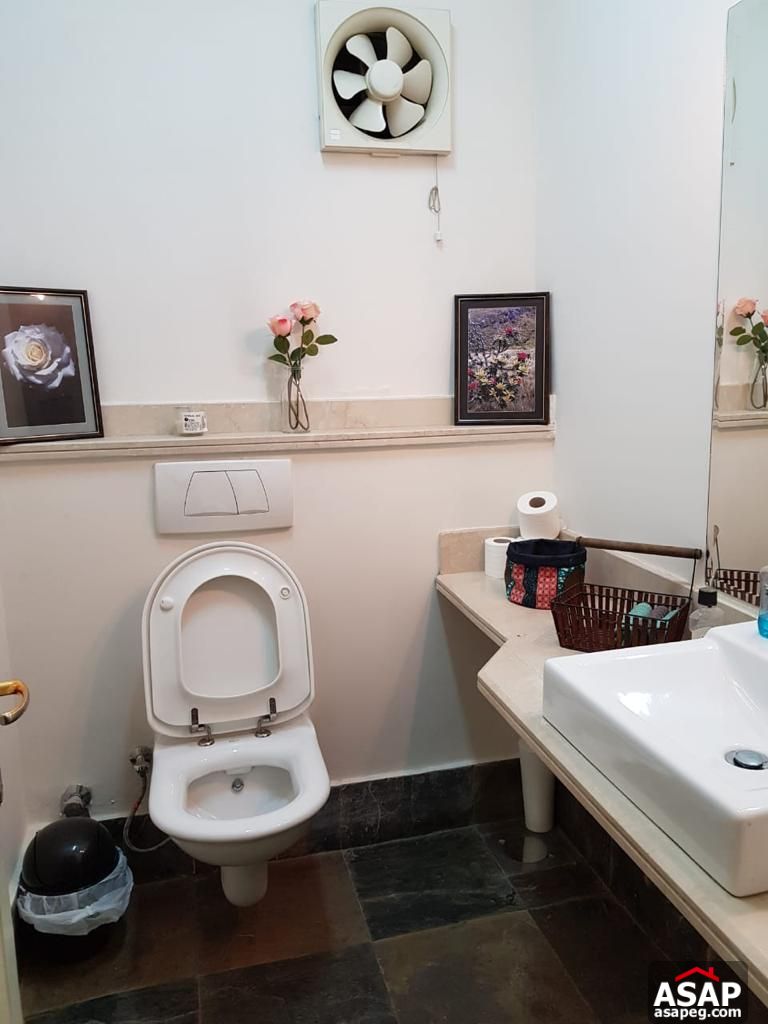 Apartment for Rent in Zamalek Apartment for Rent in Zamalek