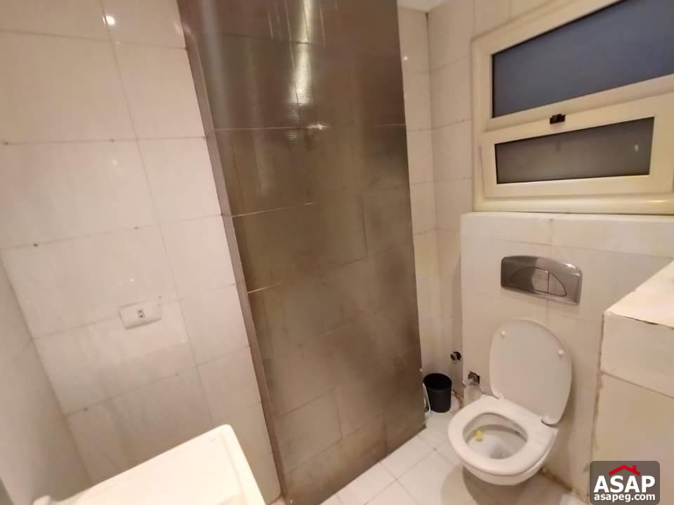 Apartment for Rent in Zamalek Apartment for Rent in Zamalek