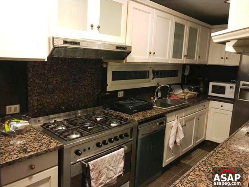 Apartment with Nile View for Rent in Zamalek Apartment with Nile View for Rent in Zamalek