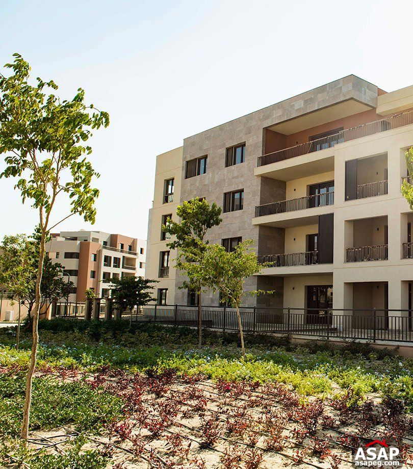 Apartment for Sale in District 5 Compound Apartment for Sale in District 5 Compound