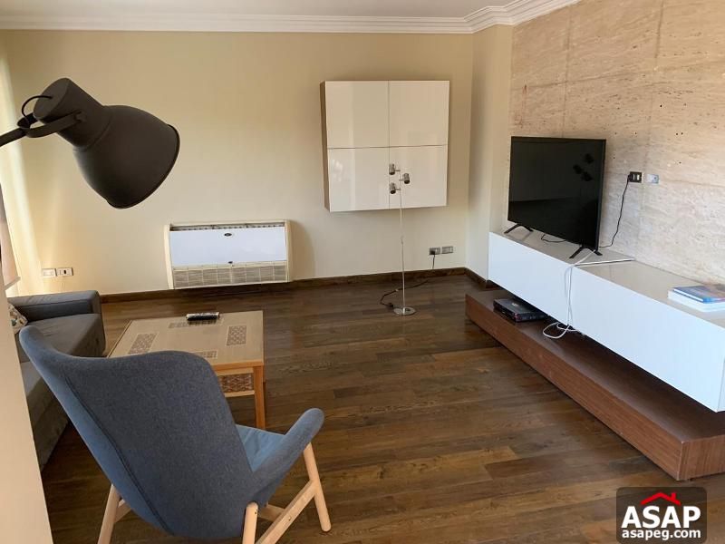 Penthouse with Swimming Pool in Sarayat El Maadi Penthouse with Swimming Pool in Sarayat El Maadi