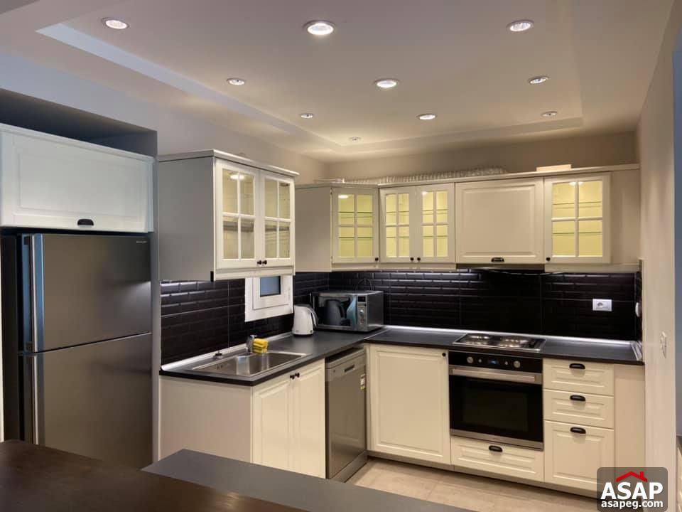 Apartment for Rent in Zamalek Apartment for Rent in Zamalek