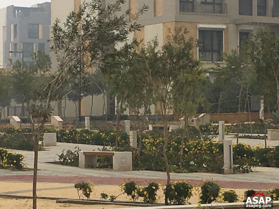 Duplex with Garden in Eastown for Rent Duplex with Garden in Eastown for Rent