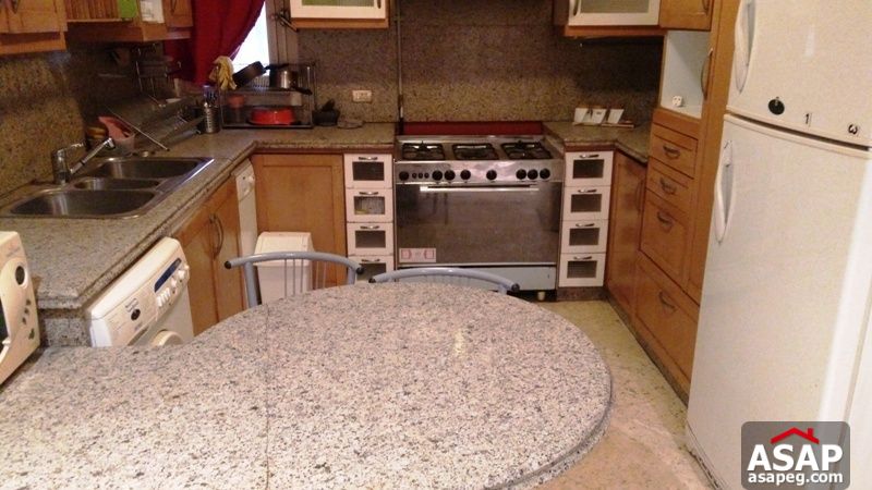 Apartment for rent in zamalek