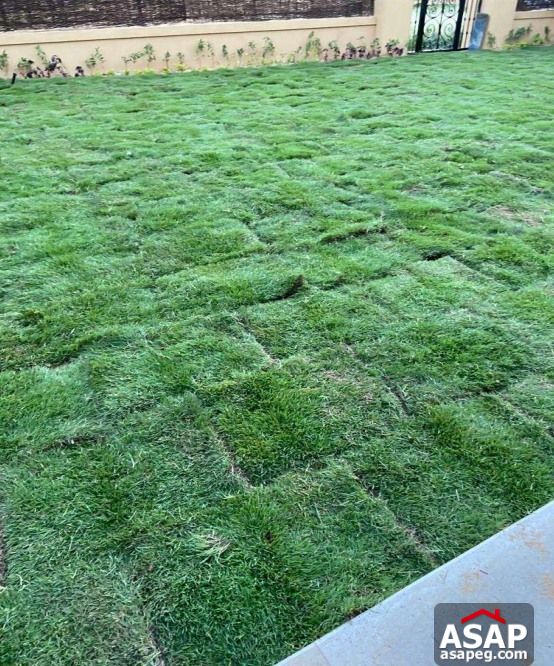 Villa with Garden View for Rent in Mivida