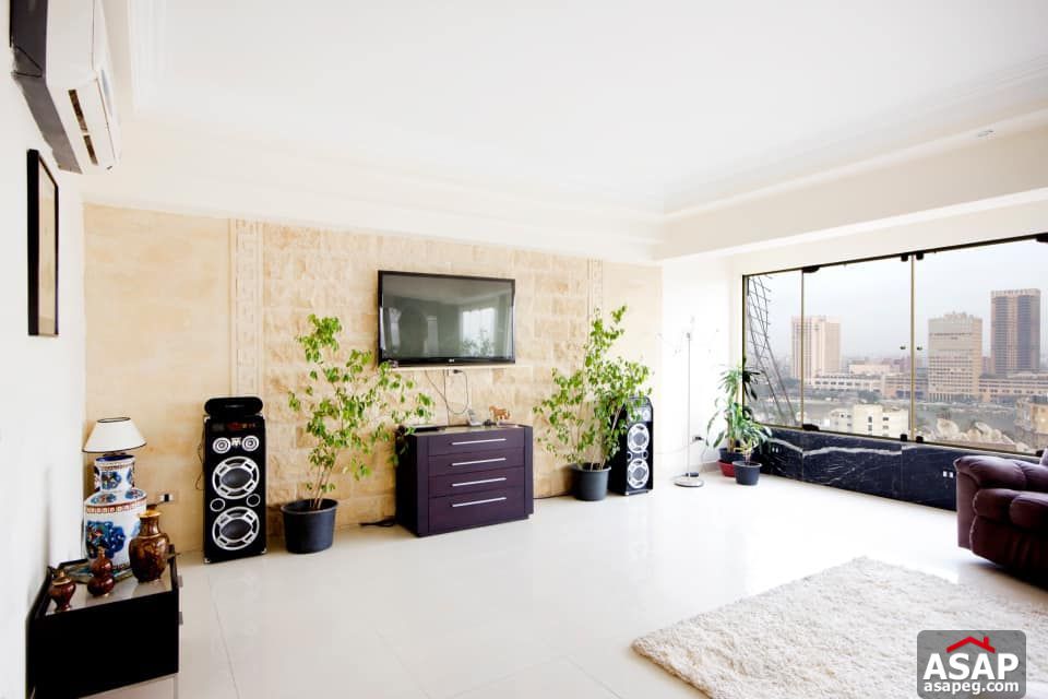 Apartment for Rent in Zamalek Apartment for Rent in Zamalek