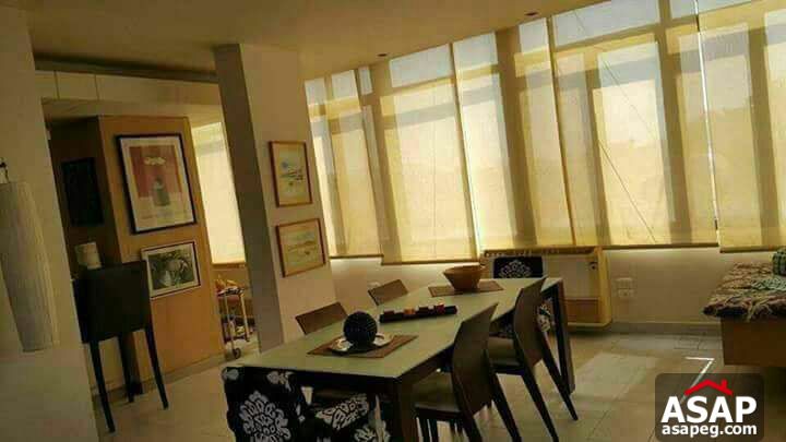 Roof with Swimming Pool for Rent in Maadi Roof with Swimming Pool for Rent in Maadi