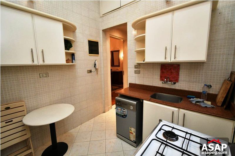 Furnished Apartment for Rent in Zamalek Furnished Apartment for Rent in Zamalek