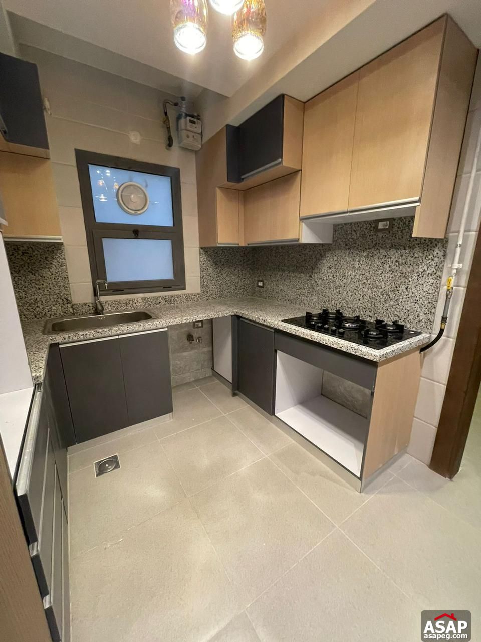 Apartment for Rent in Eastown Apartment for Rent in Eastown