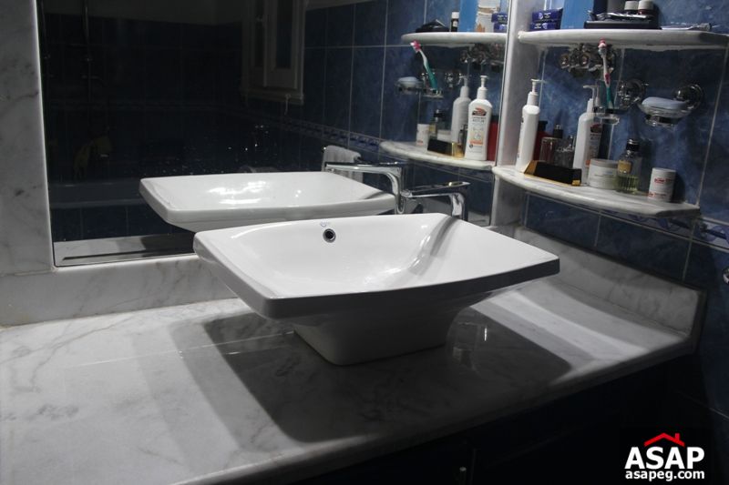 Apartment for rent in zamalek