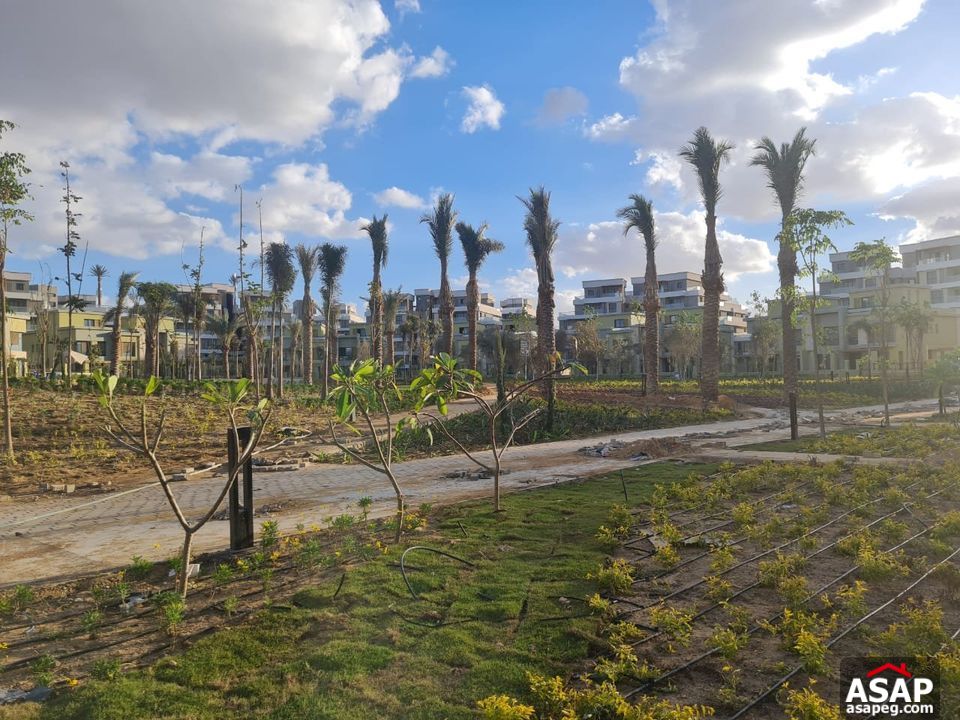 Apartment for Rent in Villette Sodic Apartment for Rent in Villette Sodic